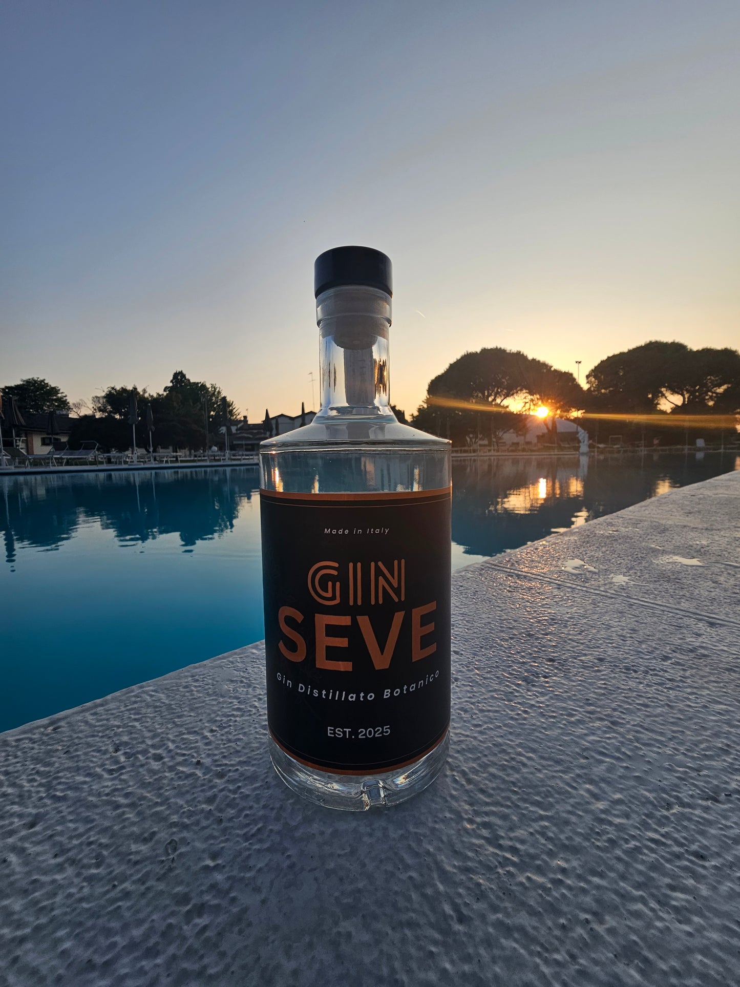 Gin Seve 70cl